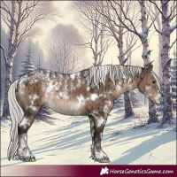 Horse Color:Powder White White Spotted Silver Brown Dun Rabicano Brindle