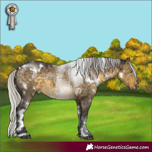 Horse Color:White Spotted Silver Buckskin Dun Brindle 