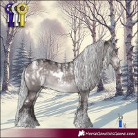 Horse Color:Powder White Platinum White Spotted Silver Brown Dun