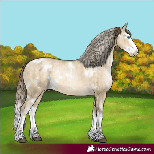 Horse Color:White Spotted Buckskin Snowdrop Dun Splash Appaloosa Rabicano Brindle 