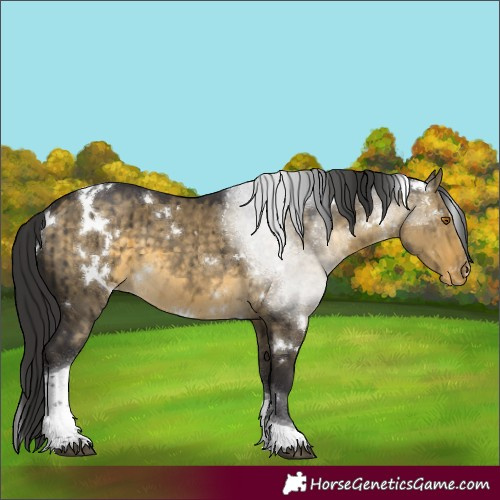 Horse Color:White Spotted Buckskin Dun Tobiano Appaloosa Brindle 