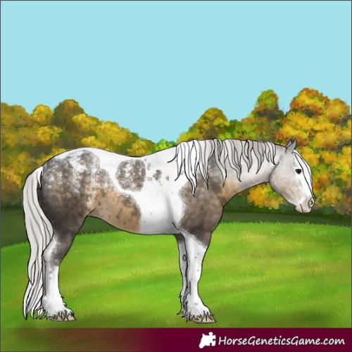 Horse Color:Powder White Silver Smoky Black Splash Tobiano Varnish 