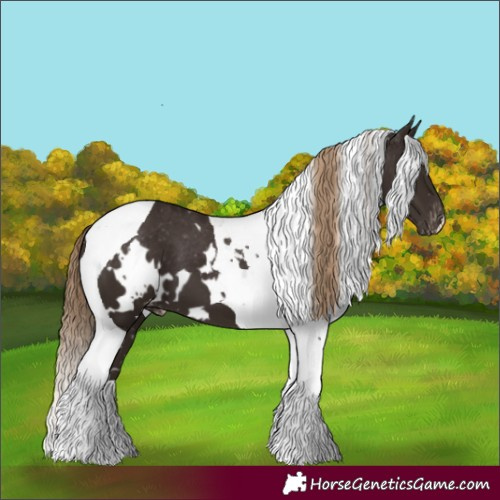 Horse Color:White Spotted Liver Chestnut Tobiano Skewed LP Spotted 