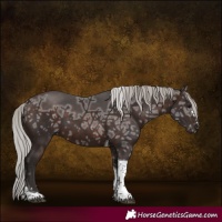 Horse Color:Silver Brown Ice Tobiano