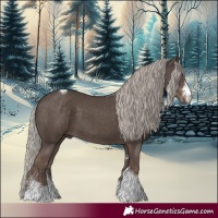 Horse Color:Silver Black Sabino Tobiano