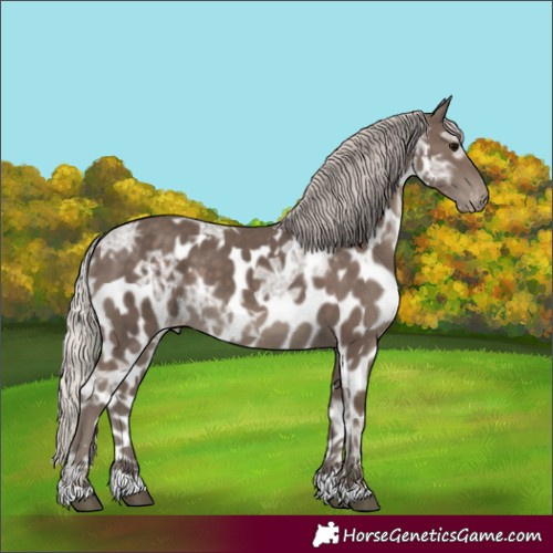 Horse Color:Silver Black Ice Skewed Appaloosa 