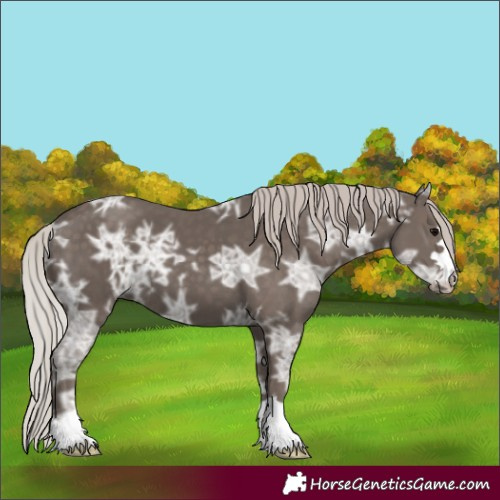 Horse Color:Silver Black Ice 