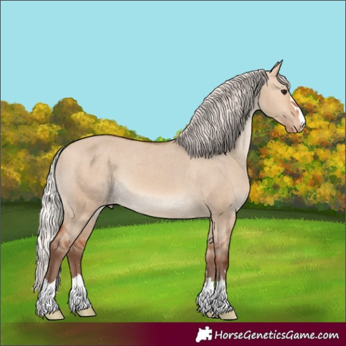 Horse Color:Silver Bay Dun Skewed LP Spotted 