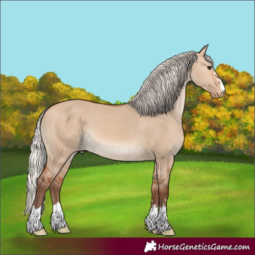 Horse Color:Silver Bay Dun Skewed Appaloosa 