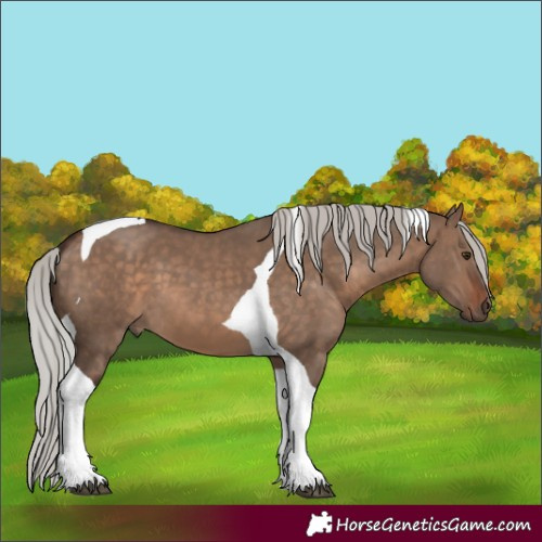 Horse Color:Silver Brown Dun Tobiano 