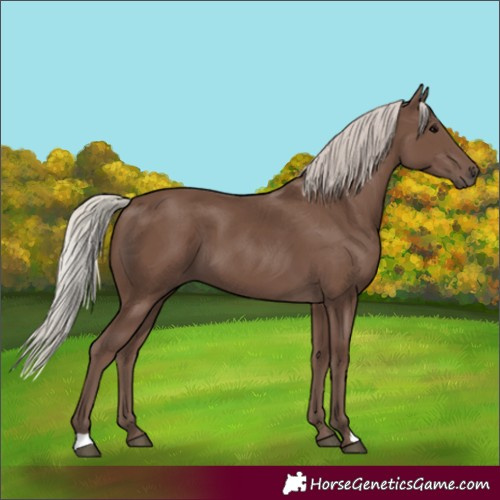 Horse Color:Silver Black 