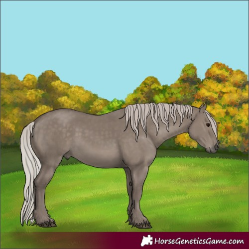 Horse Color:Silver Grullo 