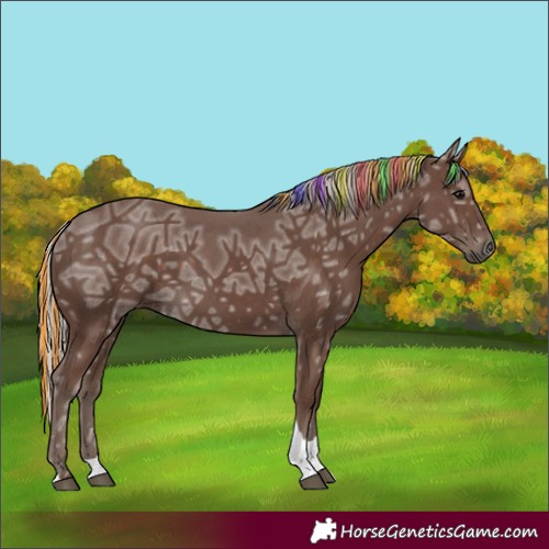 Horse Color:Painted Silver Black Ice Tobiano 