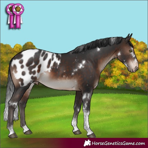 Horse Color:White Spotted Brown Mushroom Tobiano Appaloosa Rabicano 
