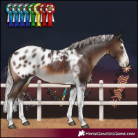 Horse Color:Silver Brown Mushroom Sabino Splash Tobiano Blanket