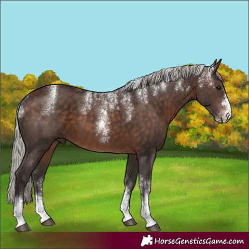 Horse Color:Powder White Silver Brown 
