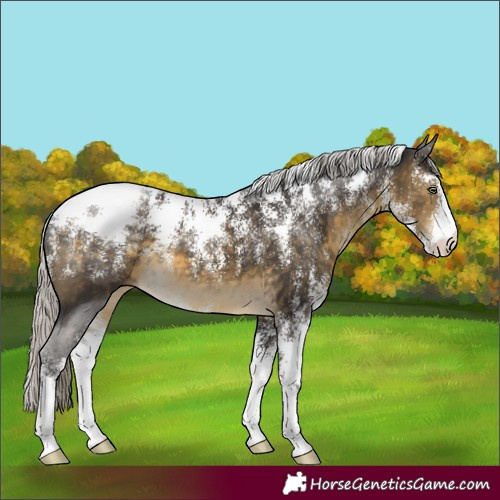Horse Color:Powder White Silver Buckskin 