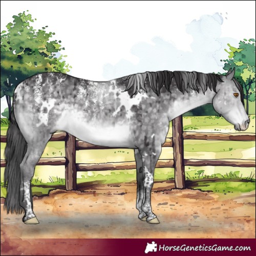 Horse Color:Powder White Platinum White Spotted Buckskin Dun Rabicano Brindle 