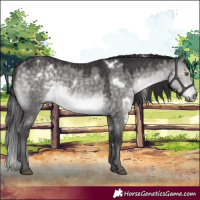 Horse Color:Platinum White Spotted Buckskin Dun Rabicano