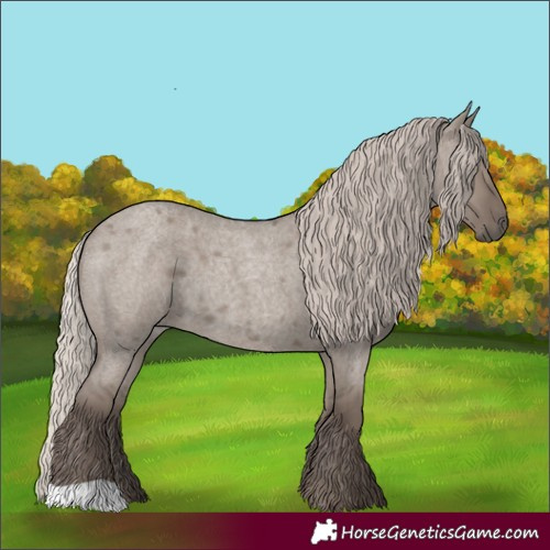 Horse Color:Silver Grullo Roan