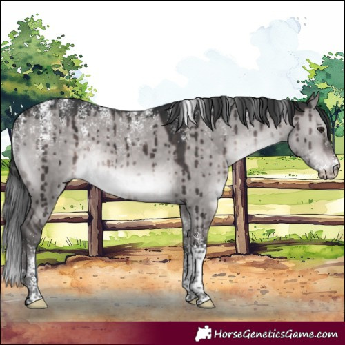 Horse Color:Powder White Platinum Brown Dun Rabicano Brindle