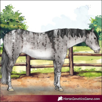 Horse Color:Powder White Platinum Brown Dun Rabicano Brindle