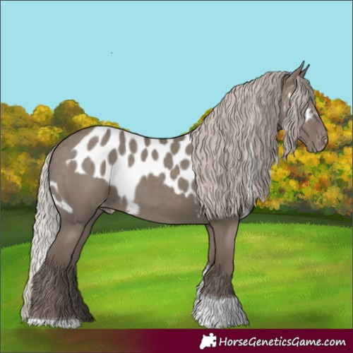 Horse Color:Silver Grullo Tobiano Skewed Appaloosa 