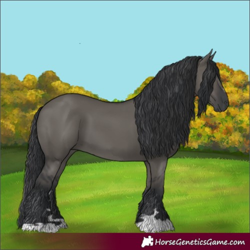 Horse Color:Grullo 