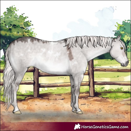 Horse Color:Platinum White Spotted Chocolate Palomino Dun Rabicano 
