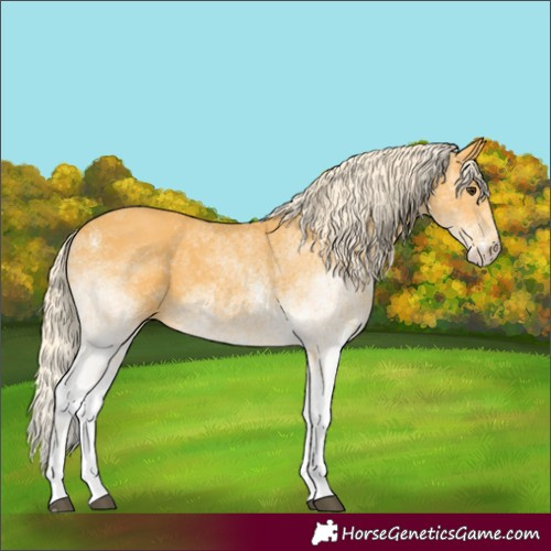 Horse Color:Unknown 
