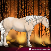 Horse Color:Silver Buckskin Pearl