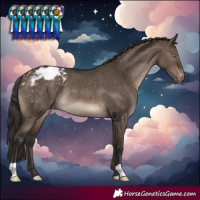 Horse Color:Brown Dun Varnish Rabicano 