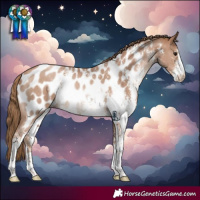 Horse Color:Black Pearl Sabino Near Leopard Rabicano 