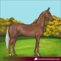 Horse Color:Silver Black 