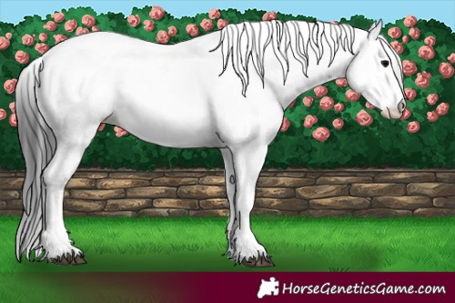 Horse Color:Midnight Brown Fewspot
