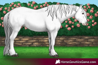 Horse Color:Midnight Brown Fewspot