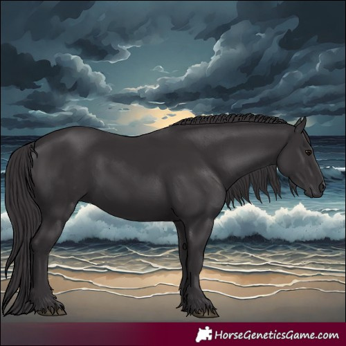 Horse Color:Smoky Black 