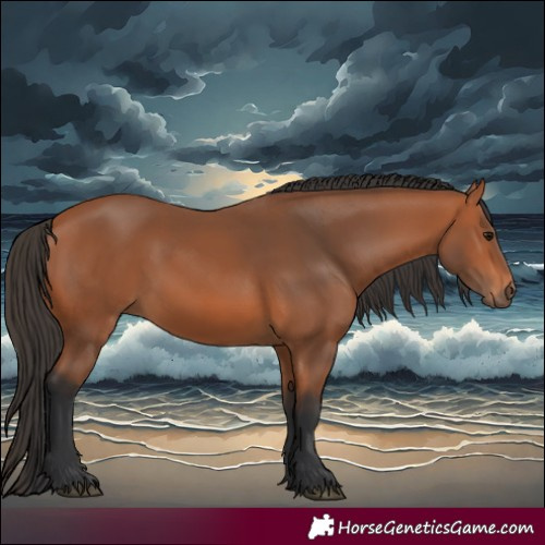 Horse Color:Bay Rabicano