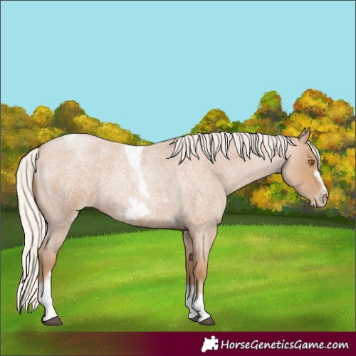 Horse Color:Silver Blue Roan Pearl Tobiano Frame 