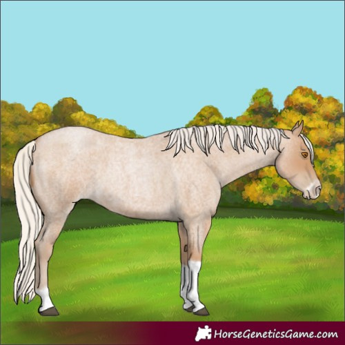 Horse Color:Silver Blue Roan Pearl Tobiano Frame