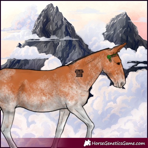 Horse Color:White Spotted Bay 