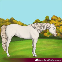 Horse Color:Smoky Creme Dun Tobiano 