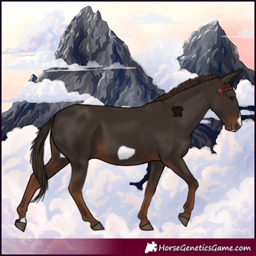 Horse Color:Liver Chestnut Frame 