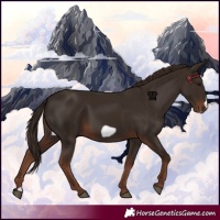 Horse Color:Liver Chestnut Frame 