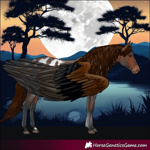 Horse Color:Bay Blanket