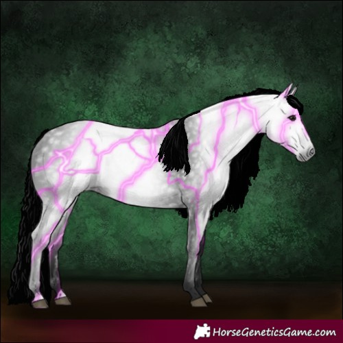 Horse Color:Gray Smoky Black