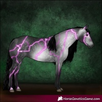 Horse Color:Gray Smoky Black 