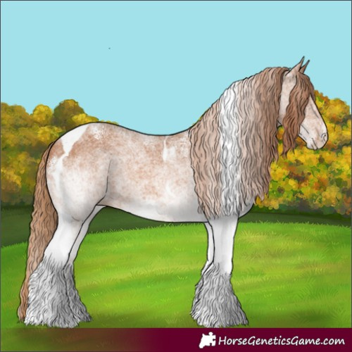 Horse Color:White Spotted Chestnut Tobiano 