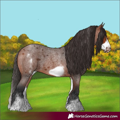 Horse Color:White Spotted Bay Roan Frame