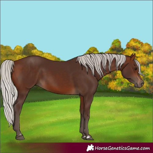 Horse Color:Silver Brown 